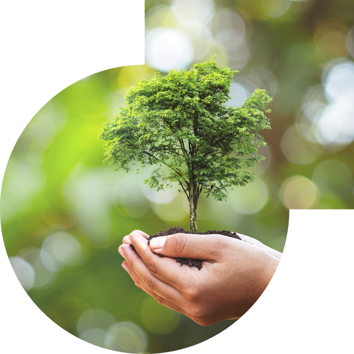 关怀人类、文化、环境与社会